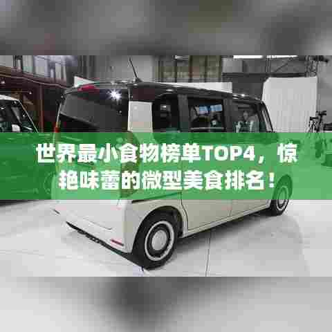 世界最小食物榜单TOP4，惊艳味蕾的微型美食排名！