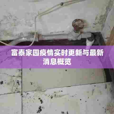 富泰家园疫情实时更新与最新消息概览