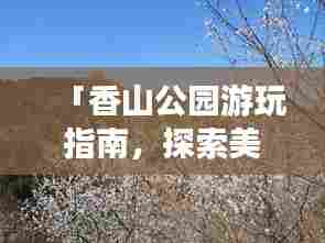 「香山公园游玩指南,探索美景,尽享自然之旅!」
