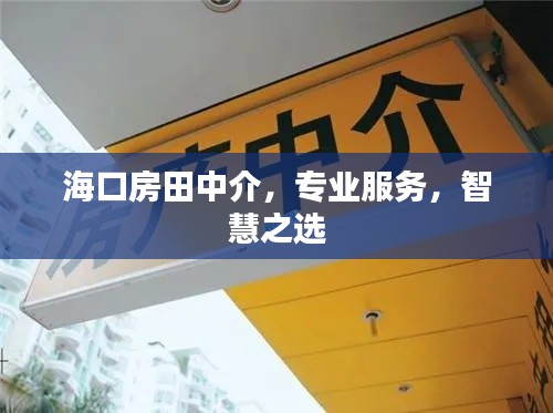 海口房田中介,专业服务,智慧之选