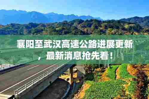 飞来飞去 第3页