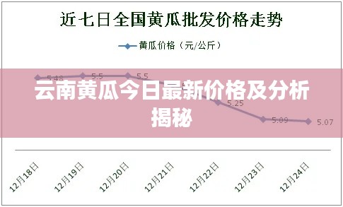 云南黄瓜今日最新价格及分析揭秘