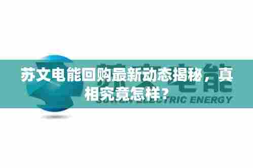 苏文电能回购最新动态揭秘，真相究竟怎样？