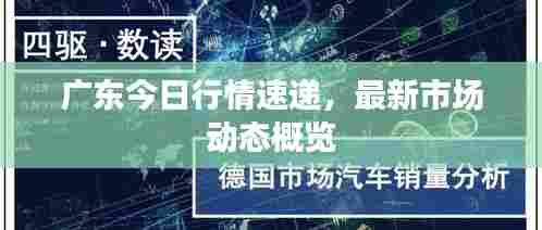 温文尔雅 第3页