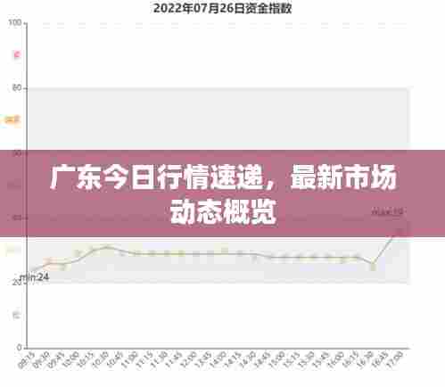 广东今日行情速递,最新市场动态概览