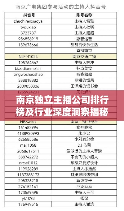 南京独立主播公司排行榜及行业深度洞察揭秘