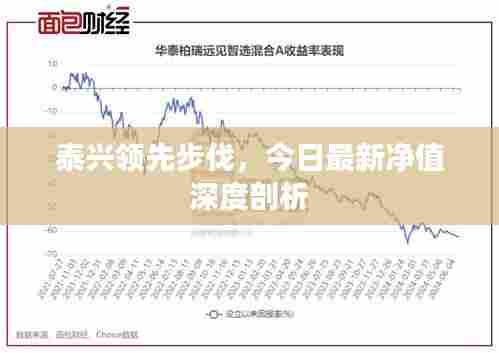 泰兴领先步伐，今日最新净值深度剖析