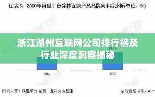 浙江湖州互联网公司排行榜及行业深度洞察揭秘