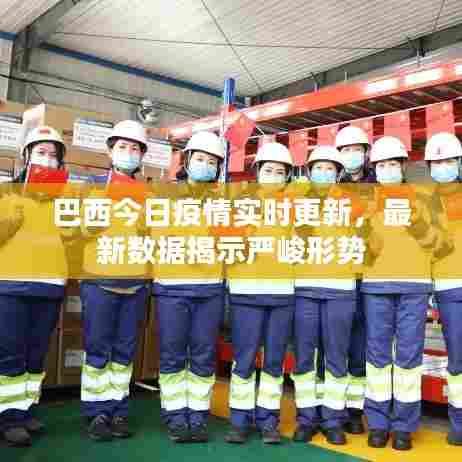 巴西今日疫情实时更新,最新数据揭示严峻形势