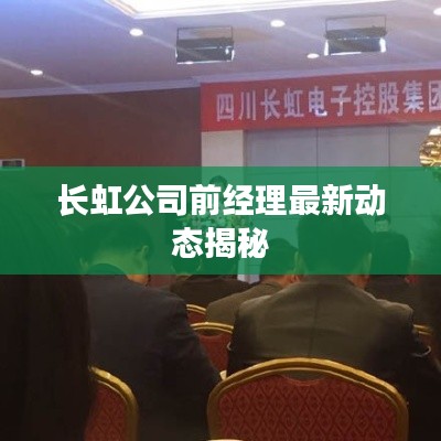 长虹公司前经理最新动态揭秘