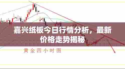 嘉兴纸板今日行情分析,最新价格走势揭秘