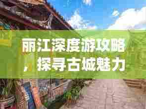 粗枝大叶 第3页