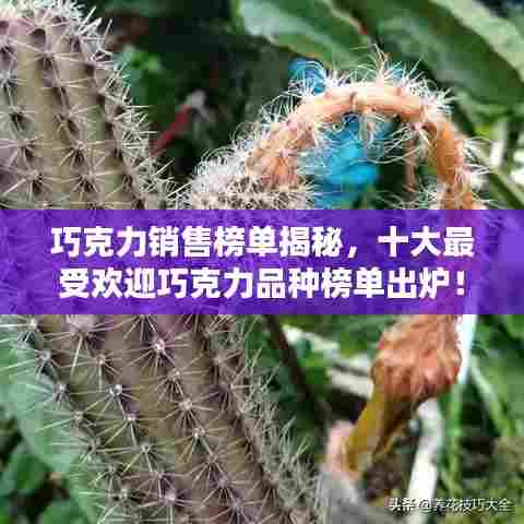 雅人清致 第3页