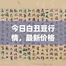 虎视眈眈 第3页