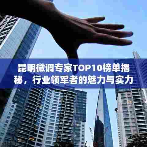 昆明微调专家TOP10榜单揭秘，行业领军者的魅力与实力解析
