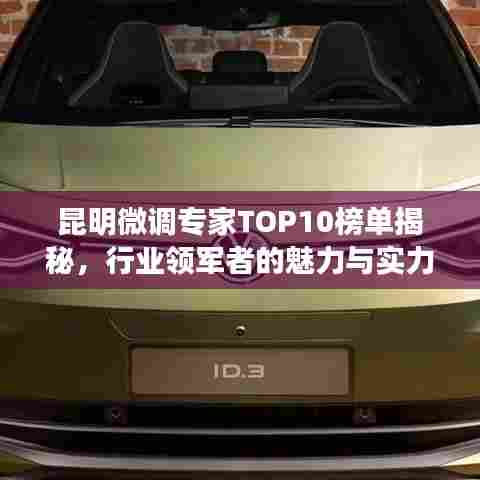 昆明微调专家TOP10榜单揭秘,行业领军者的魅力与实力解析