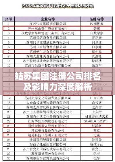 姑苏集团注册公司排名及影响力深度解析