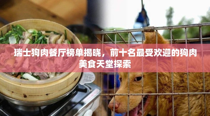 瑞士狗肉餐厅榜单揭晓,前十名最受欢迎的狗肉美食天堂探索