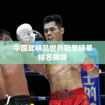 中国武林风世界冠军榜单排名揭晓