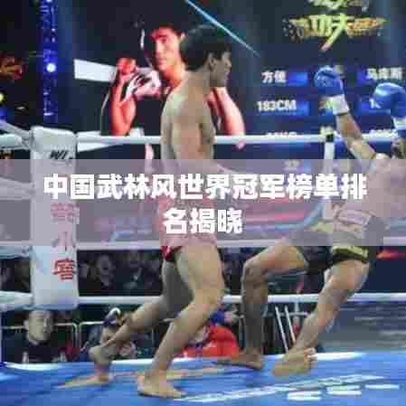 中国武林风世界冠军榜单排名揭晓