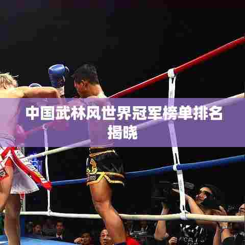 中国武林风世界冠军榜单排名揭晓