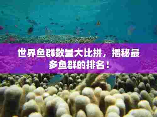 世界鱼群数量大比拼,揭秘最多鱼群的排名!