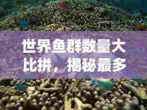 世界鱼群数量大比拼,揭秘最多鱼群的排名!