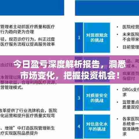 今日盈亏深度解析报告,洞悉市场变化,把握投资机会!