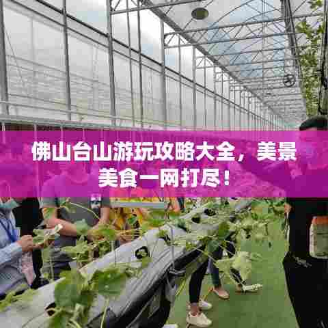 佛山台山游玩攻略大全,美景美食一网打尽!