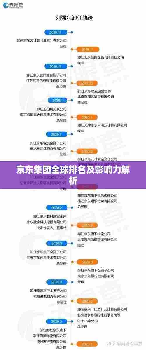 京东集团全球排名及影响力解析