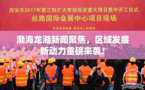 渤海龙湖新闻聚焦，区域发展新动力重磅来袭！