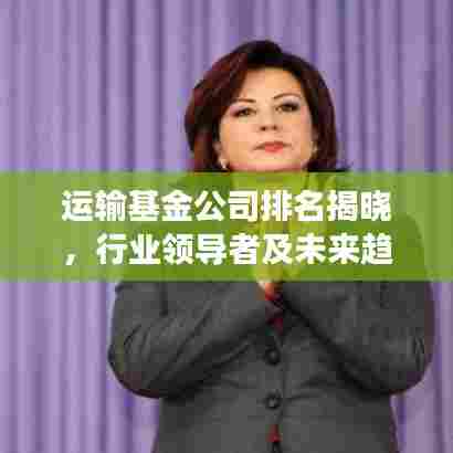 运输基金公司排名揭晓,行业领导者及未来趋势展望