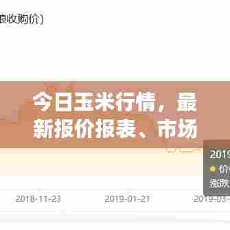 今日玉米行情，最新报价报表、市场分析全解析！