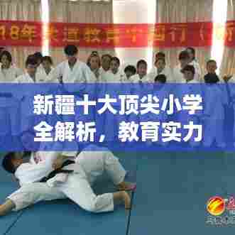 新疆十大顶尖小学全解析,教育实力不容小觑!