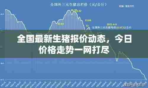 全国最新生猪报价动态,今日价格走势一网打尽
