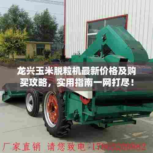 龙兴玉米脱粒机最新价格及购买攻略，实用指南一网打尽！