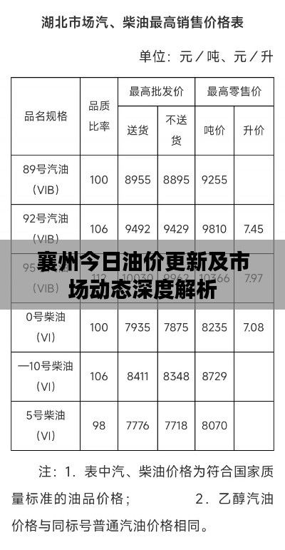 襄州今日油价更新及市场动态深度解析
