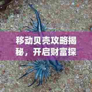 移动贝壳攻略揭秘,开启财富探索之旅!