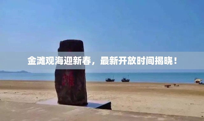 金滩观海迎新春，最新开放时间揭晓！