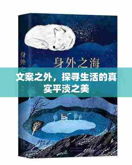 文案之外,探寻生活的真实平淡之美