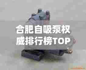 合肥自吸泵权威排行榜TOP10揭晓!