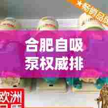 合肥自吸泵权威排行榜TOP10揭晓!