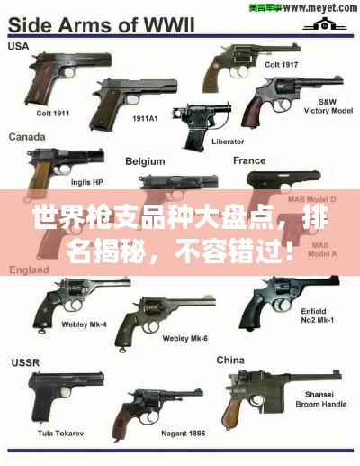 世界枪支品种大盘点，排名揭秘，不容错过！