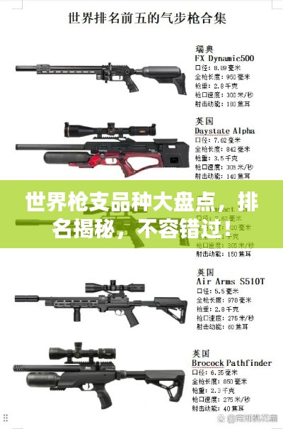 世界枪支品种大盘点,排名揭秘,不容错过!