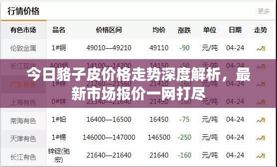 今日貉子皮价格走势深度解析，最新市场报价一网打尽