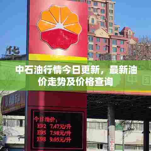 中石油行情今日更新，最新油价走势及价格查询