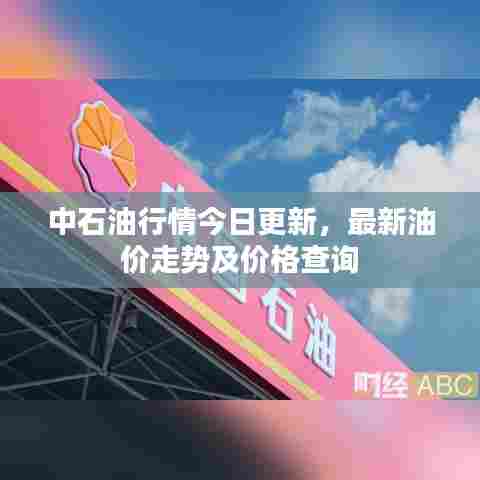 中石油行情今日更新,最新油价走势及价格查询