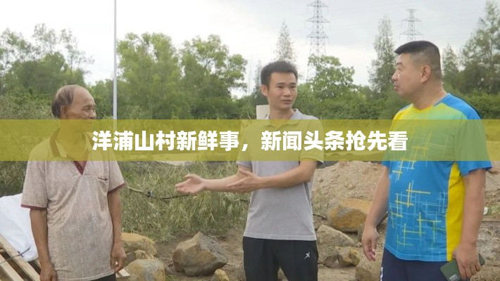 洋浦山村新鲜事,新闻头条抢先看