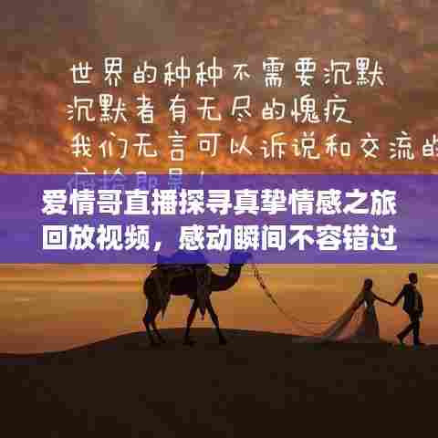 爱情哥直播探寻真挚情感之旅回放视频，感动瞬间不容错过
