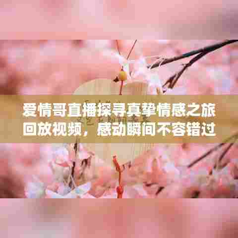 爱情哥直播探寻真挚情感之旅回放视频,感动瞬间不容错过